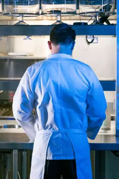 Still 3 1 Star Review