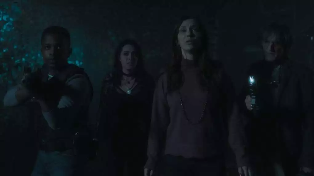 Still 1 Amorosa