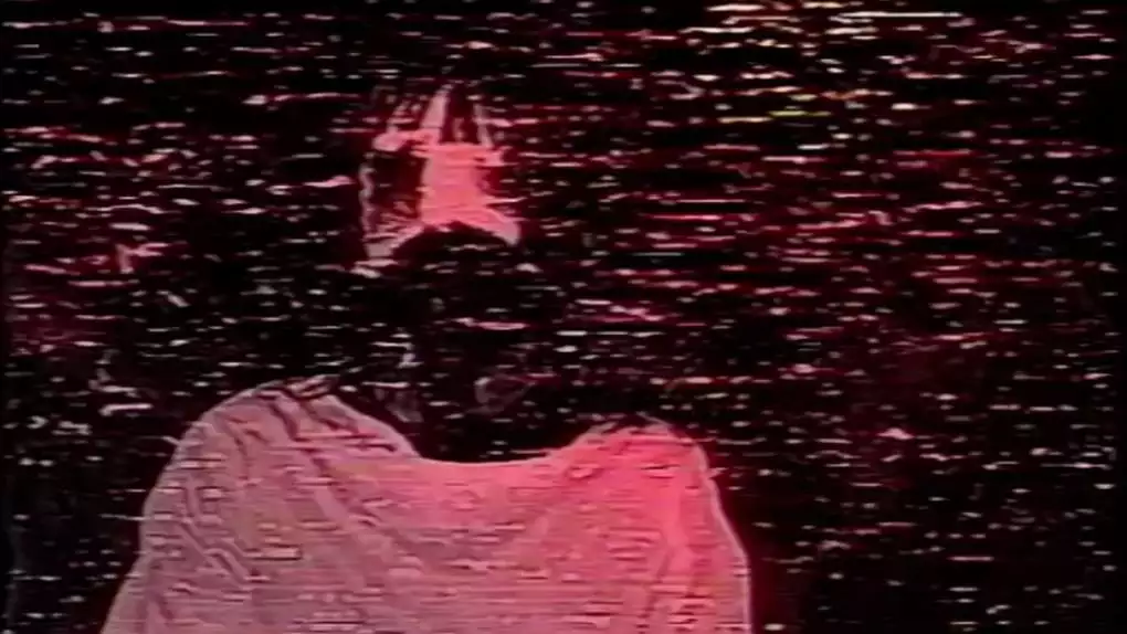 Still 1 The McKinney Family Home Videos