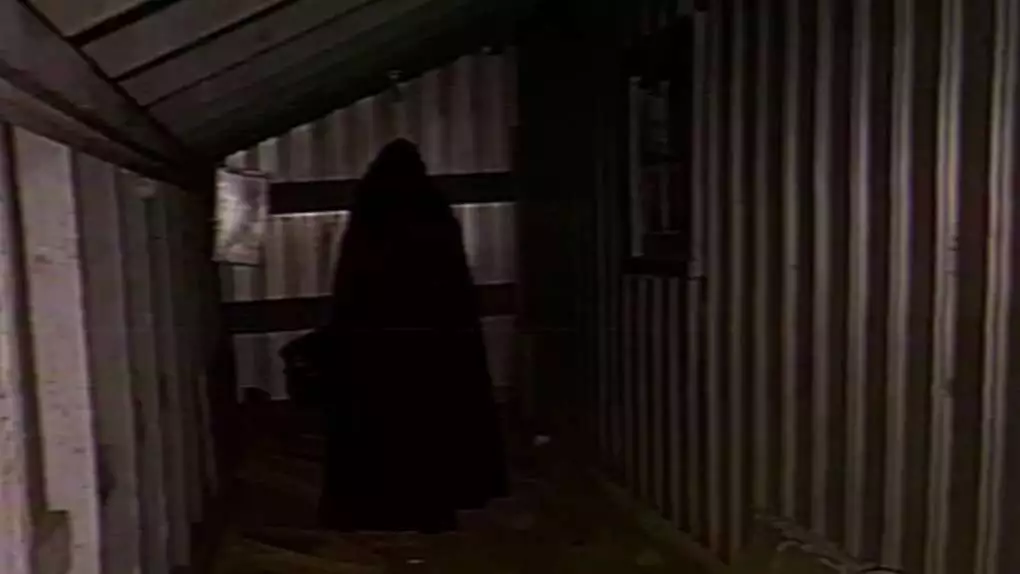 Still 1 The McKinney Family Home Videos Volume 2