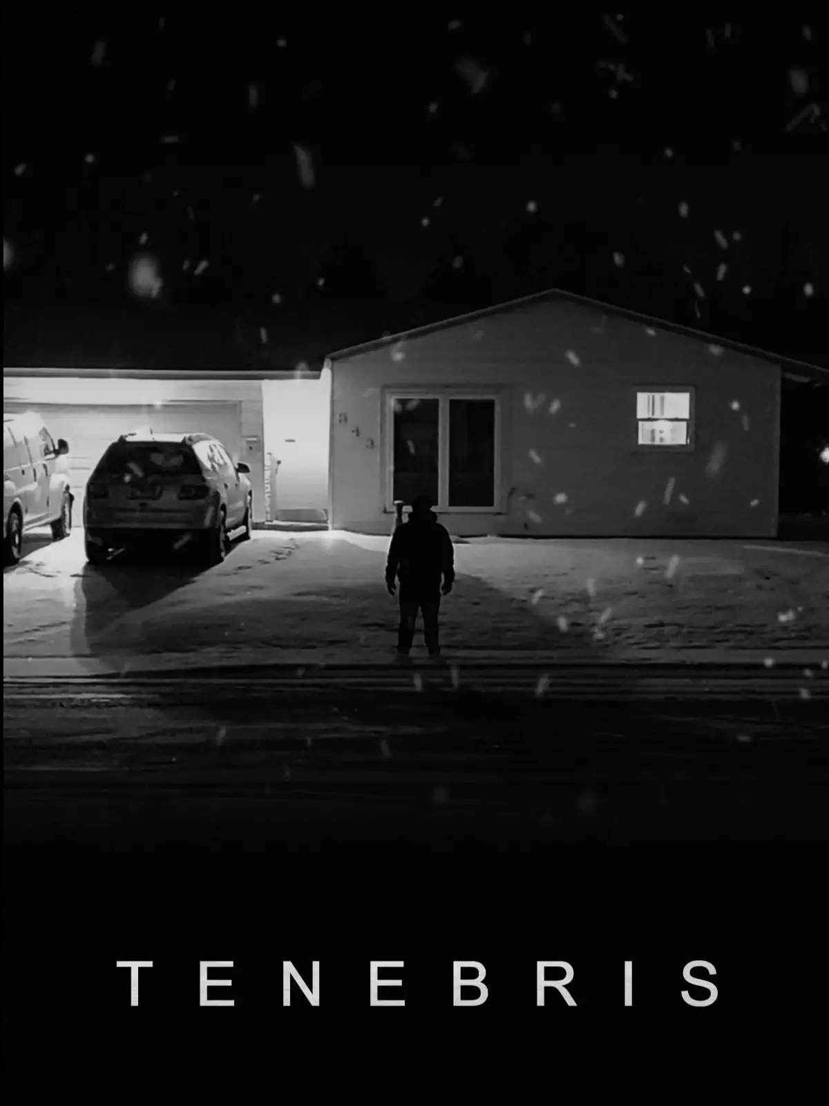 Tenebris poster