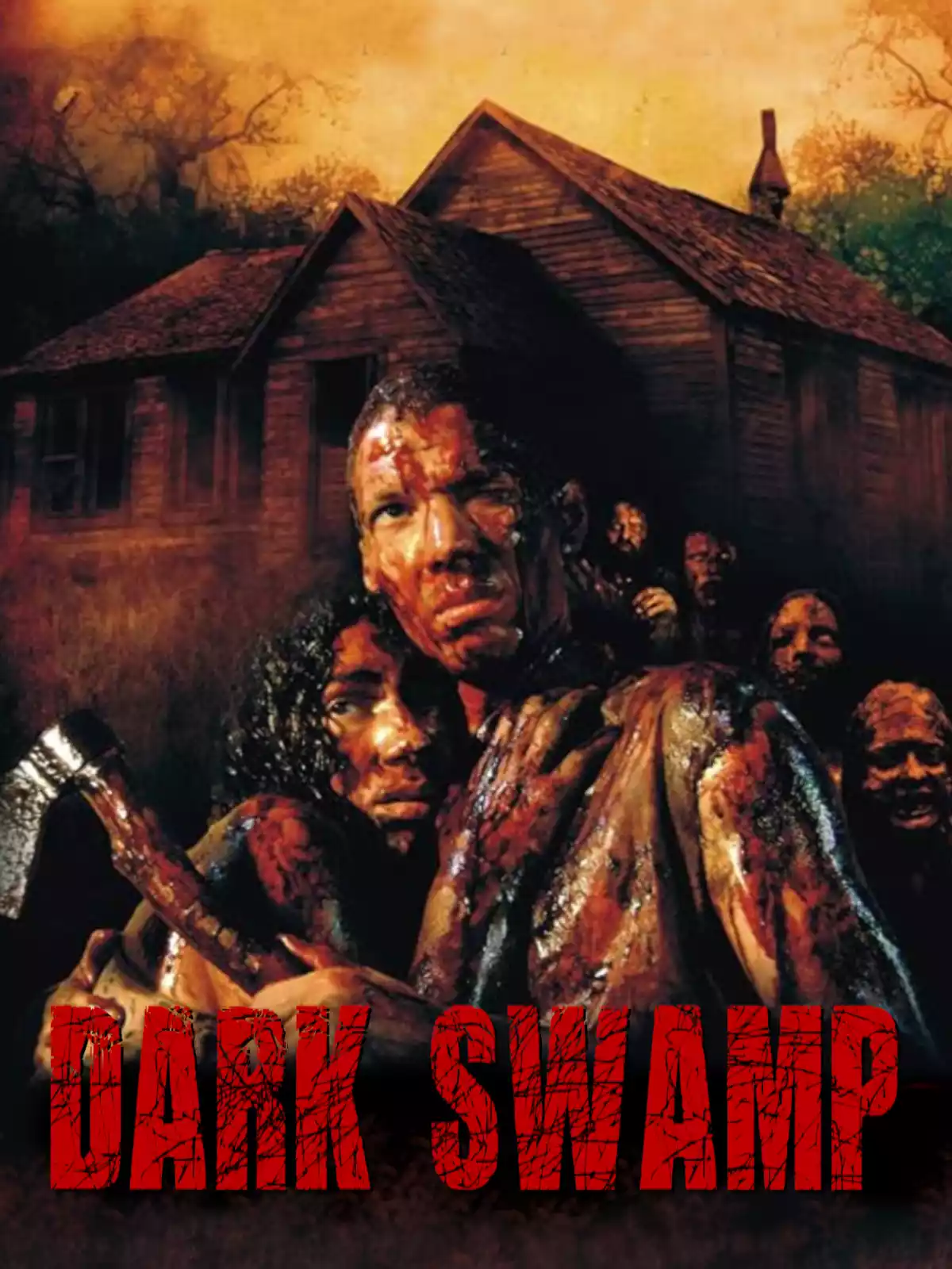 Dark Swamp poster