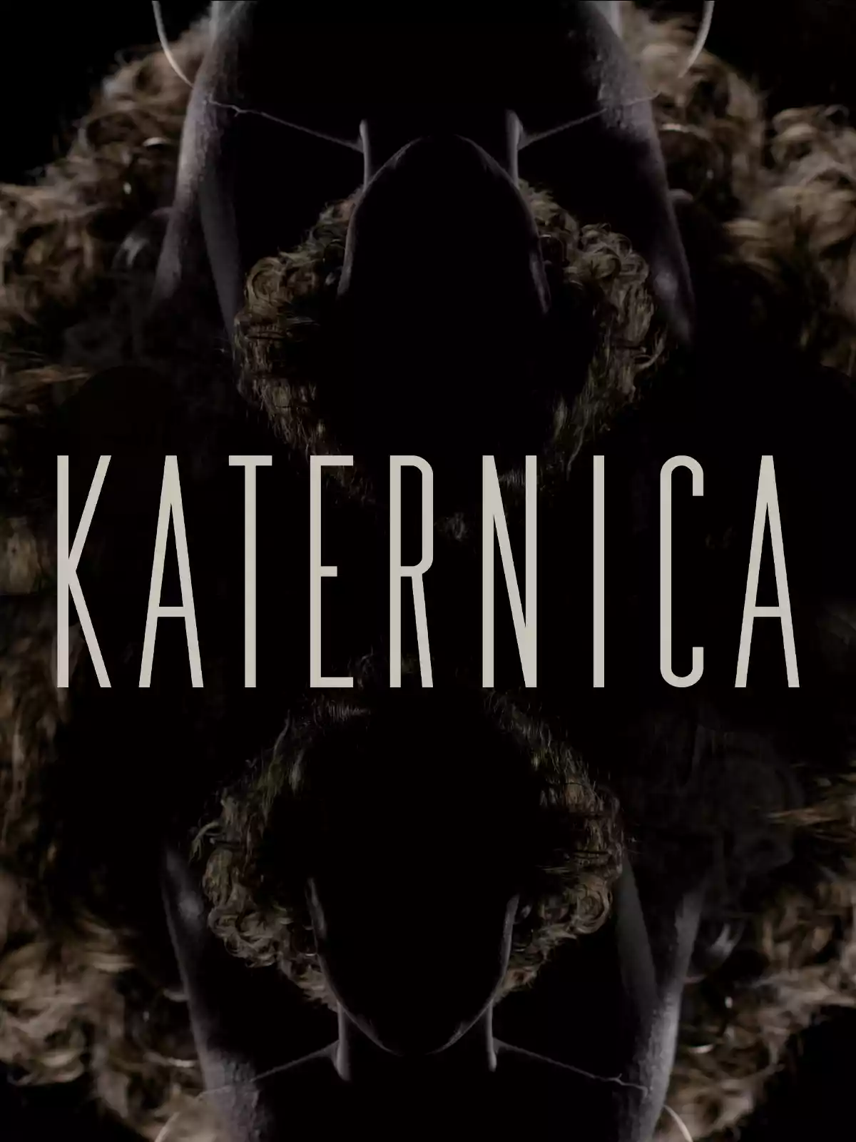 Katernica poster