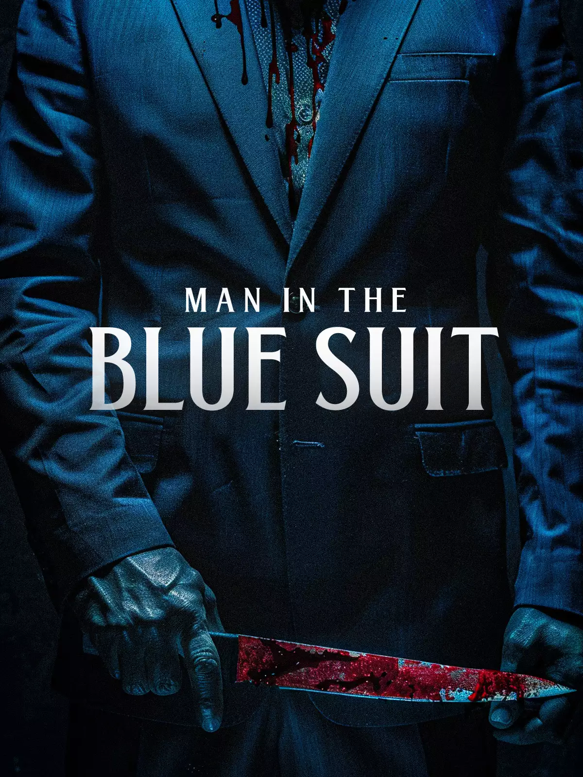 Man in the Blue Suit poster