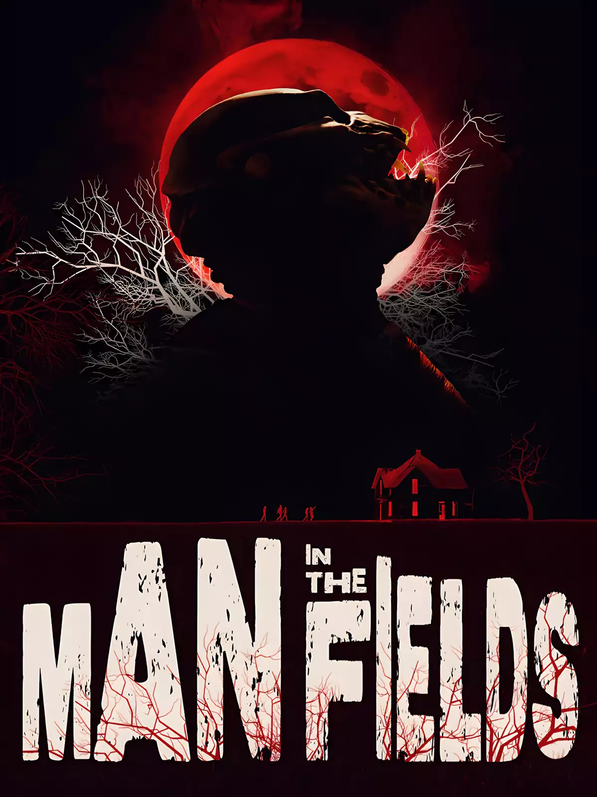 Man In The Fields poster