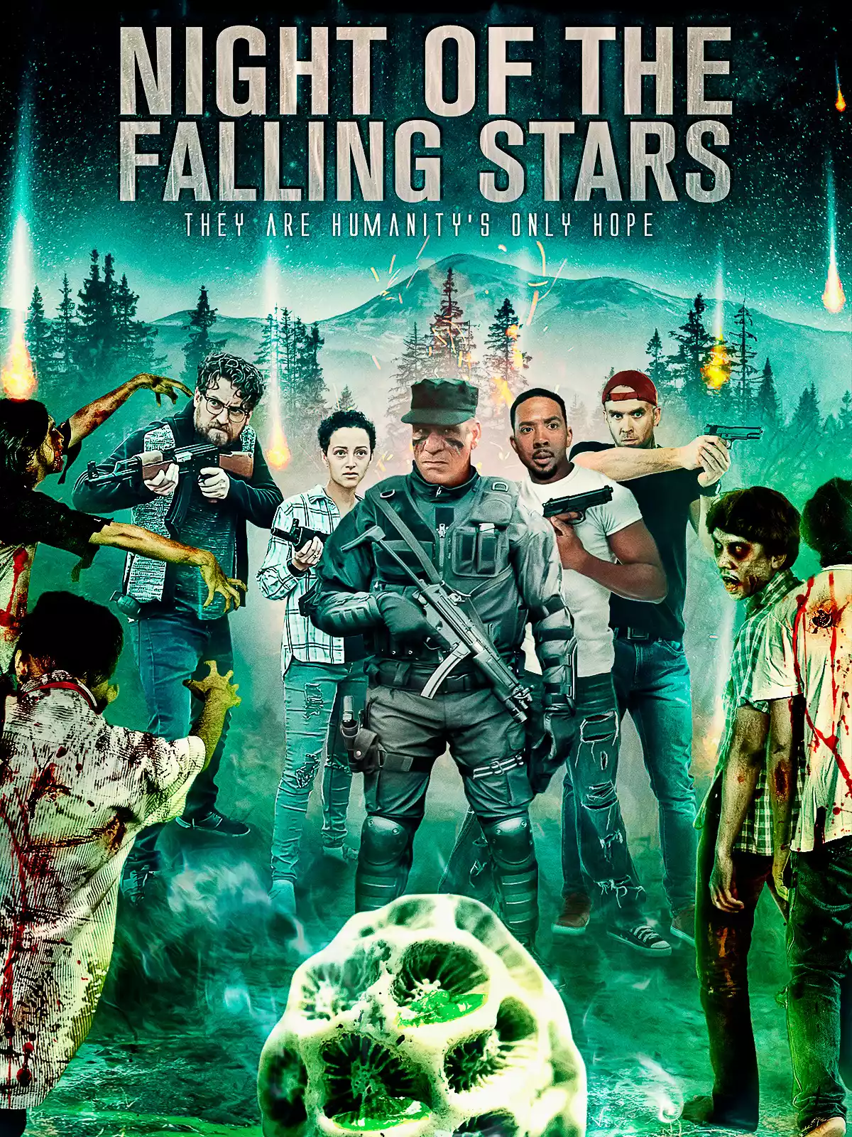 Night of the Falling Stars poster