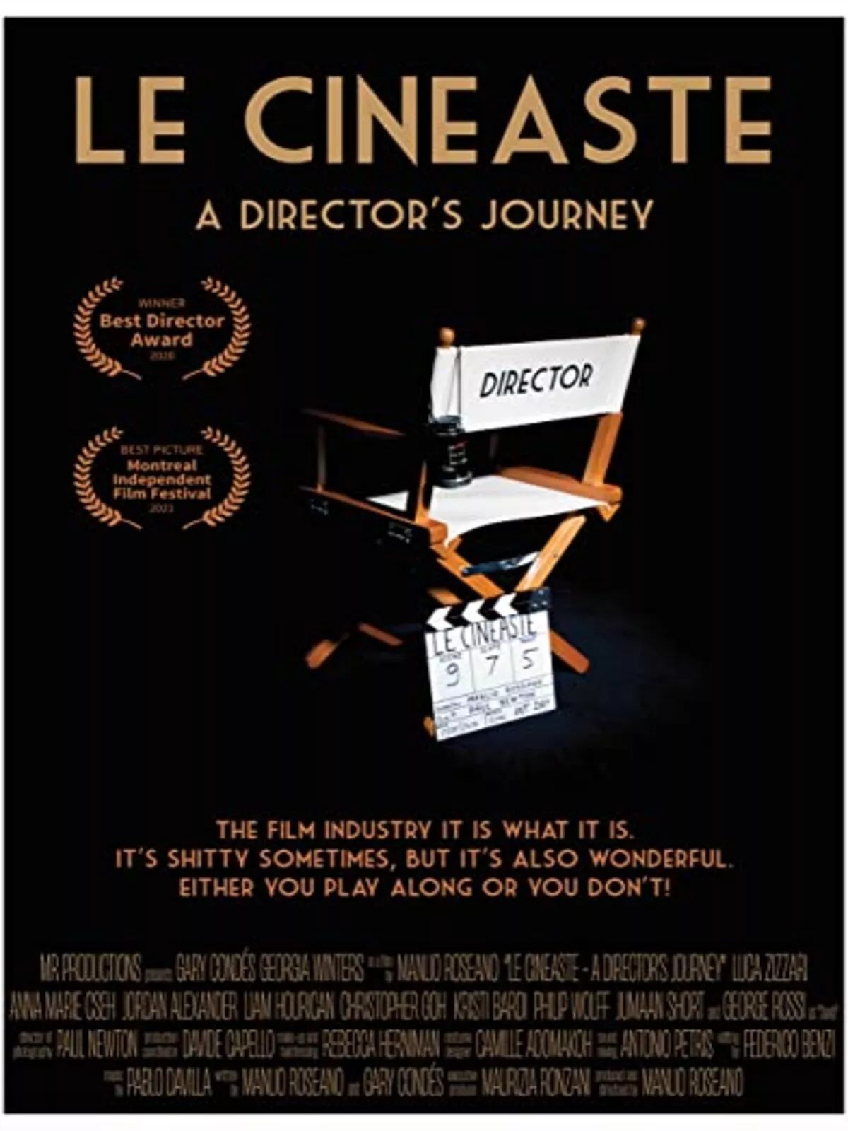 Le Cineaste, A Director's Journey poster