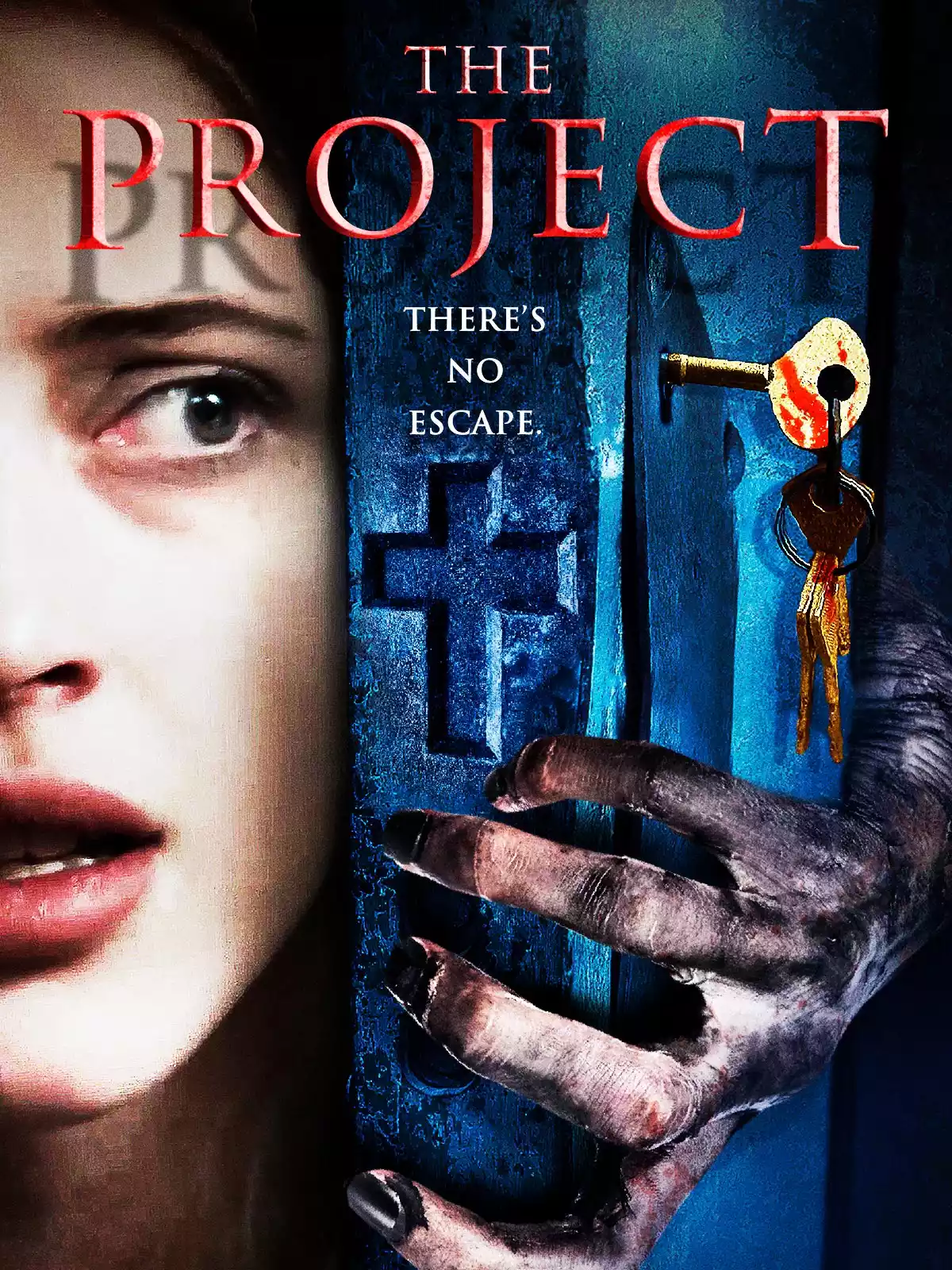 The Project poster