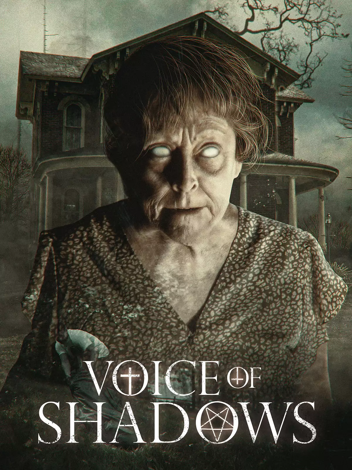Voice of Shadows poster