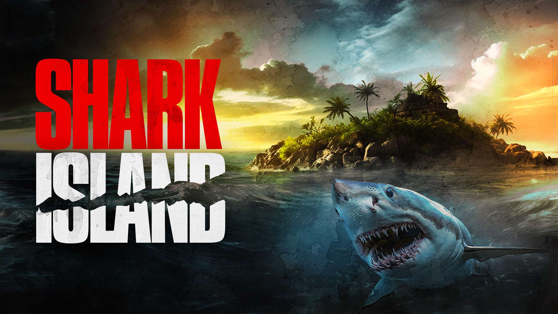 Shark Island